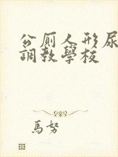 公厕人形尿便器调教学校