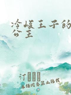 冷峻王子的完美公主