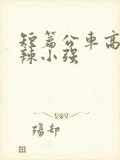 短篇公车高h肉辣小强