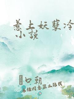 惹上妖孽冷殿下 小说