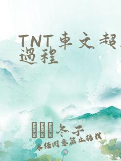 TNT车文超细过程