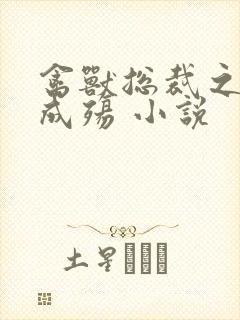 禽兽总裁之虐爱成殇 小说