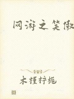 网游之笑傲江湖