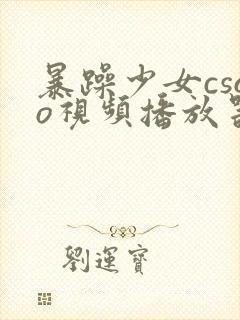 暴躁少女csgo视频播放器推荐