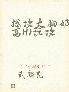 总攻大胸奶汁(高H)玩攻