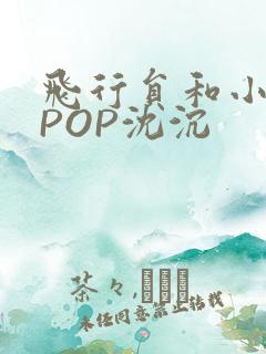 飞行员和小空乘POP沈沉