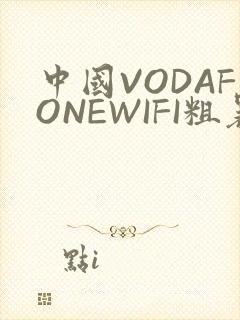 中国VODAFONEWIFI粗暴APP
