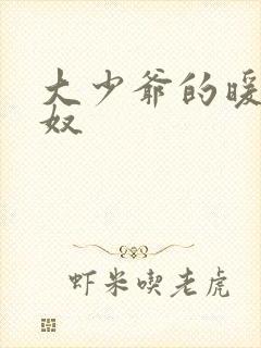 大少爷的暖床小奴