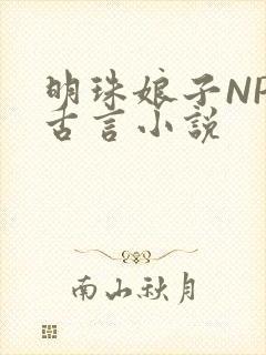 明珠娘子NPC古言小说