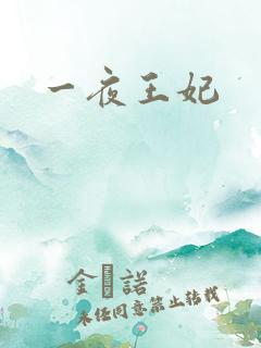 一夜王妃