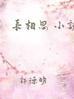 长相思 小说