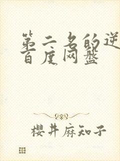 第二名的逆袭 百度网盘