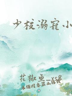 少校溺宠小小妻