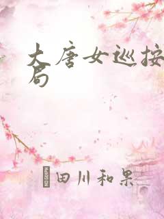 大唐女巡按大结局