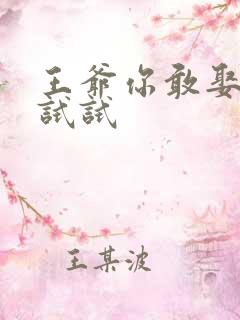 王爷你敢娶小三试试