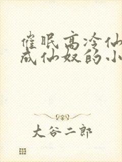 催眠高冷仙奴变成仙奴的小说