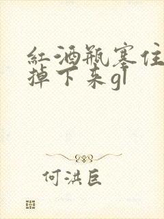 红酒瓶塞住不准掉下来gl