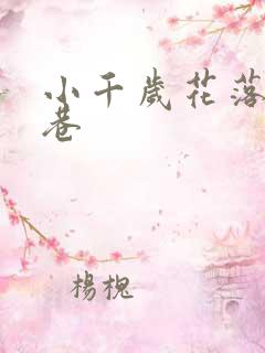 小千岁花落乌衣巷