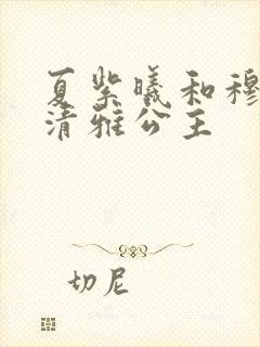 夏紫曦和穆景天清雅公主