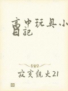 高中玩具小诗的日记