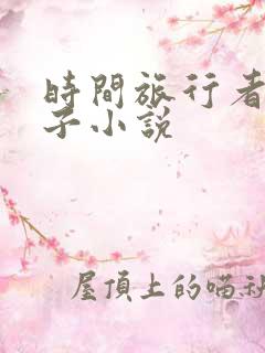 时间旅行者的妻子小说