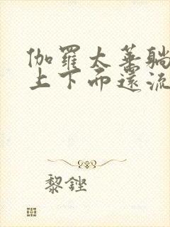 伽罗太华躺在床上下面还流东西