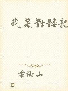 我是骷髅龙骑兵