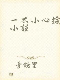 一不小心捡到爱小说