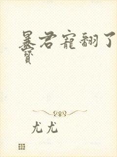 暴君宠翻了小娇宝