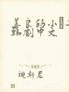 善良的小峓子2韩剧中文