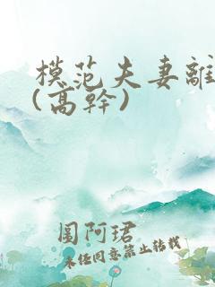模范夫妻离婚了(高干)