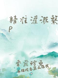 精准灌溉系统hp