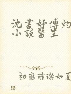 沈书妤傅灼抖音小说医生