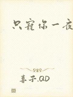 只宠你一夜