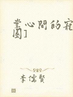 掌心间的宠[校园]