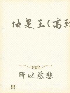他是王(高干)
