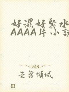 好湿好紧水多AAAAA片小说