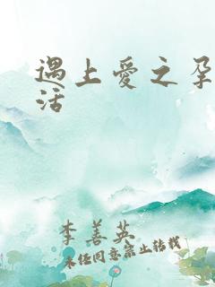 遇上爱之孕夫生活