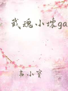 武魂小坏ga