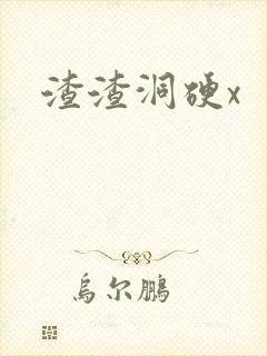 渣渣洞硬x