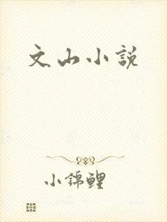 文山小说
