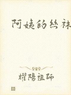 阿姨的丝袜小说