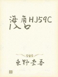 海角HJ59C1入口