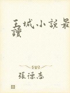 王城小说最近阅读