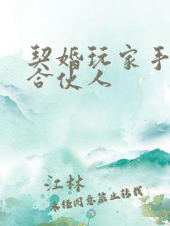 契婚玩家手册之合伙人