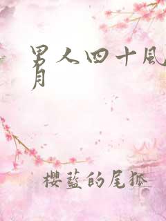 男人四十风花雪月