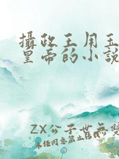 摄政王用玉髓整皇帝的小说