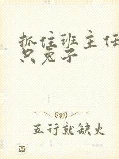 抓住班主任的两只兔子