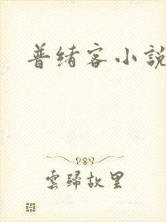普绪客小说
