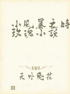 小风暴之时间的玫瑰小说